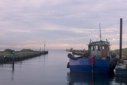 raw-mordialloc-marina-boat-morning