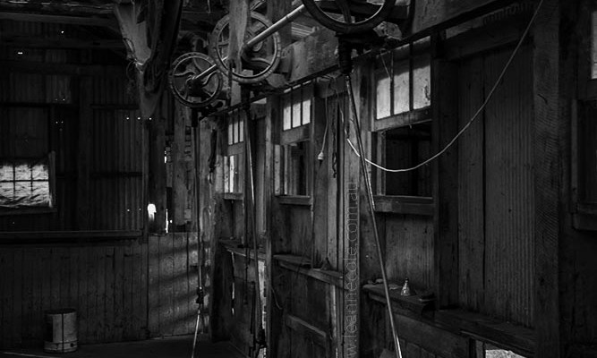 shearing-shed-old-woomelang-monochrome