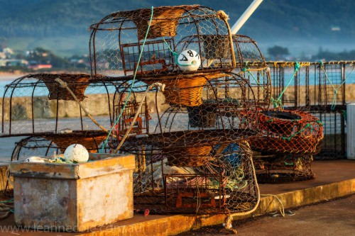 apollo-bay-sunrise-harbour-craypots-1