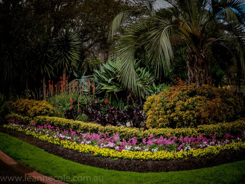 melbourne-fitzroy-gardens-conservatory-flowers-5