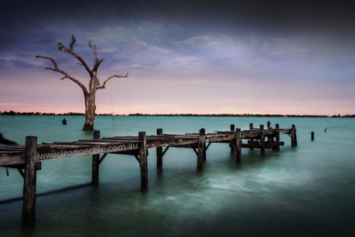 lake-charm-back-pier-tree-3