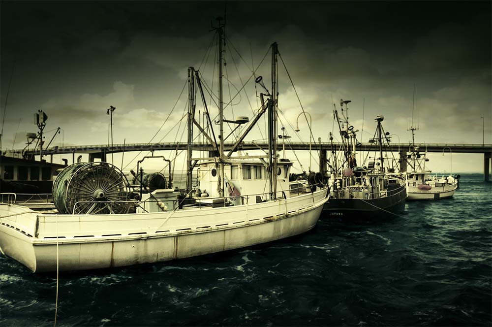 fishing-boats-water-docked-phillipisland