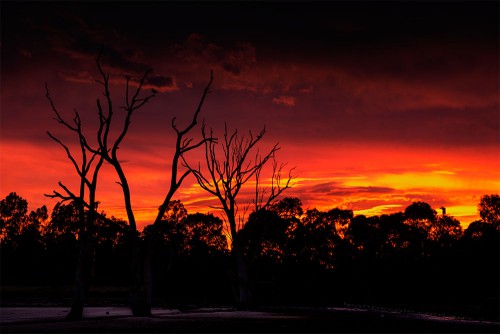 banyule-flats-sunrise-swamp-melbourne