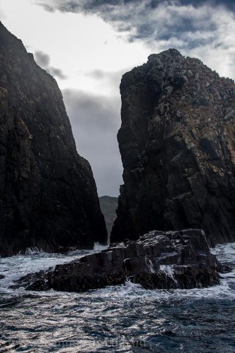 bruny-island-southcoast-cliffs-cruise-4816