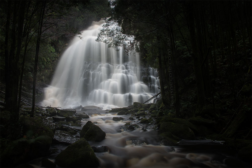 nelson-falls-tasmania-flowing