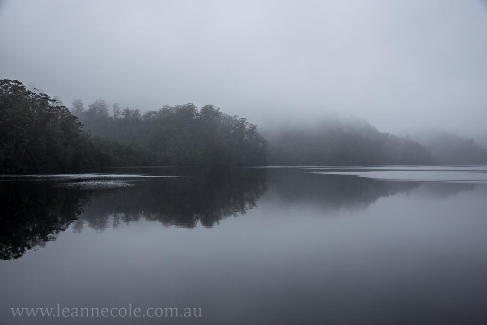 tasmania-strahan-worldheritage-gordon-river-3775
