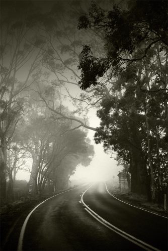 daylesford-road-fog-monochrome-victoria