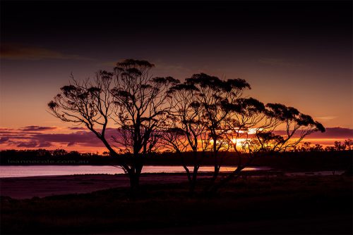 mallee-murray-sunset-national-park