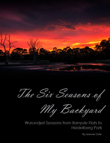 six-seasons-cover