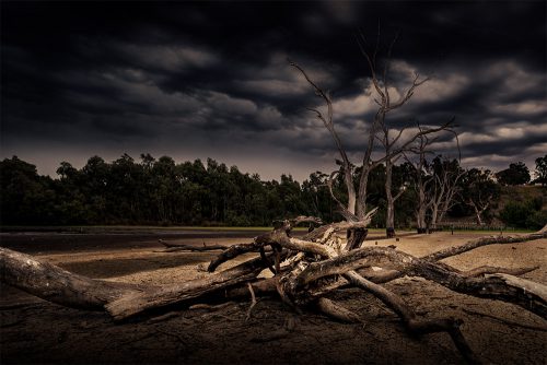 banyule-flats-dry-heidelberg-reserve