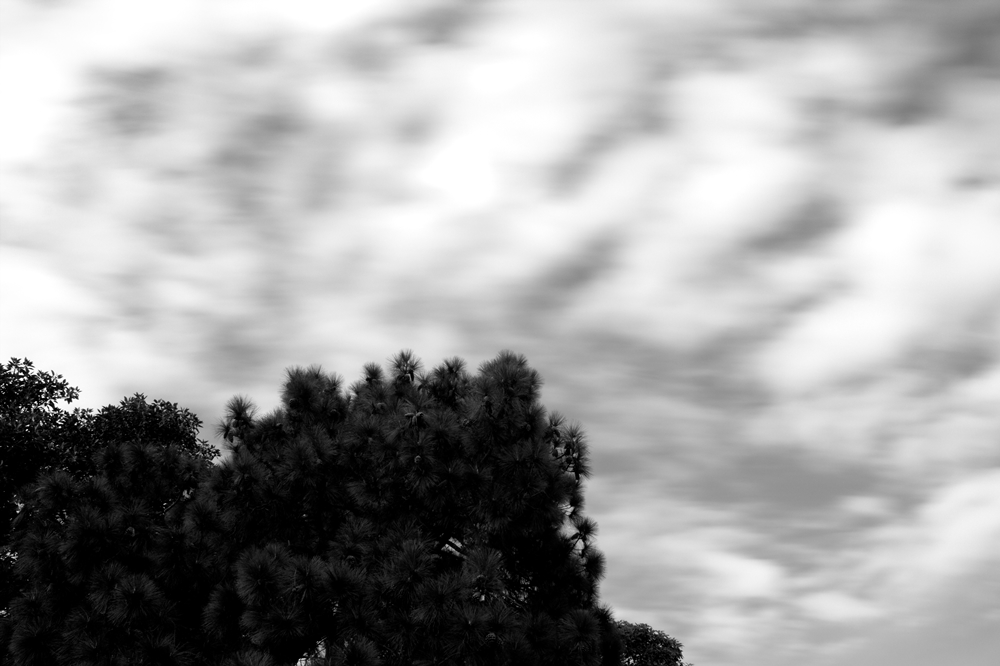 bluring-clouds-and-tree-small-stupidityhole