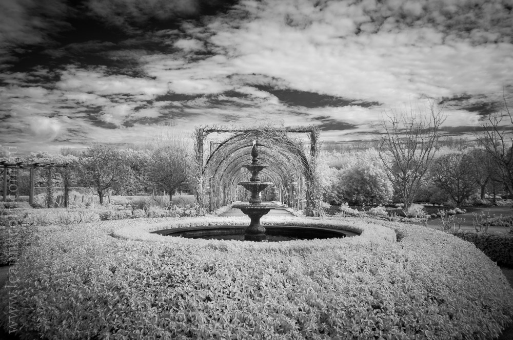 alowyn-gardens-infrared-yarraglen-22878