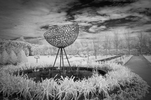 alowyn-gardens-infrared-yarraglen-22908