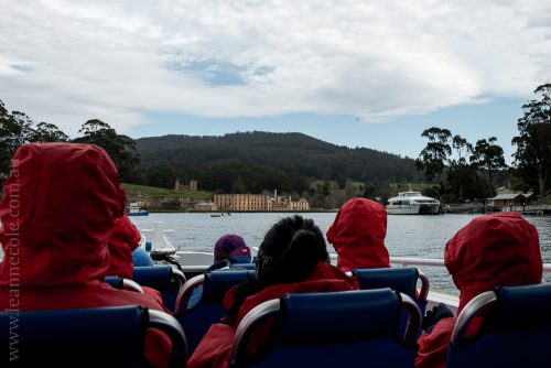 tasmanisland-cruise-pennicott-tasmania-cliffs-9177