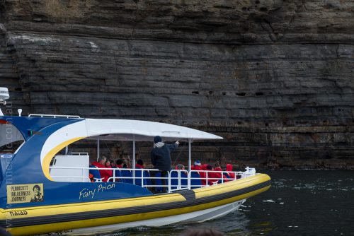 tasmanisland-cruise-pennicott-tasmania-cliffs-9190