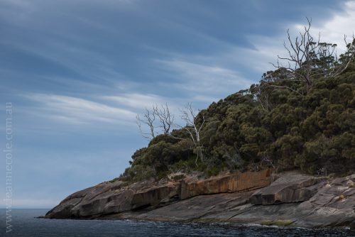tasmanisland-cruise-pennicott-tasmania-cliffs-9259