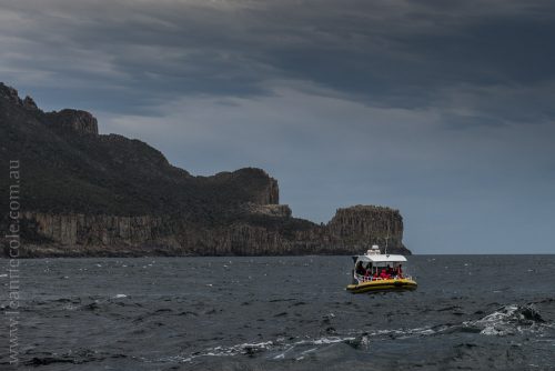 tasmanisland-cruise-pennicott-tasmania-cliffs-9474