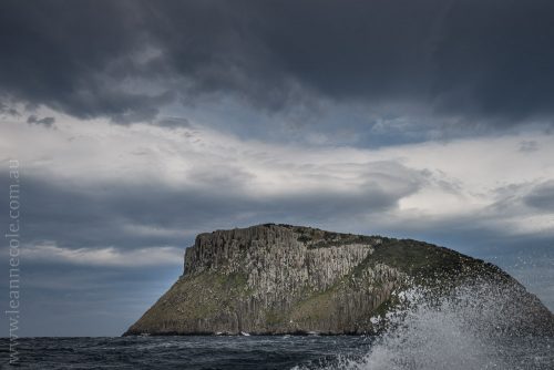 tasmanisland-cruise-pennicott-tasmania-cliffs-9620