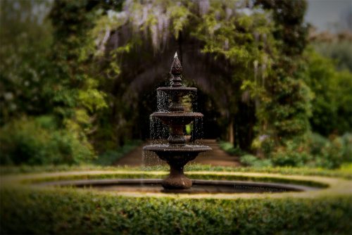 alowyn-gardens-lensbaby-velvet-85-1034