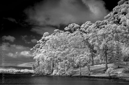 portarthur-tasmania-historic-site-infrared-24129