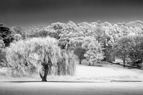 portarthur-tasmania-historic-site-infrared-24135