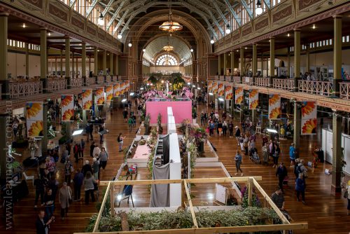 mifgs-flower-gardens-exhibits-melbourne-6890