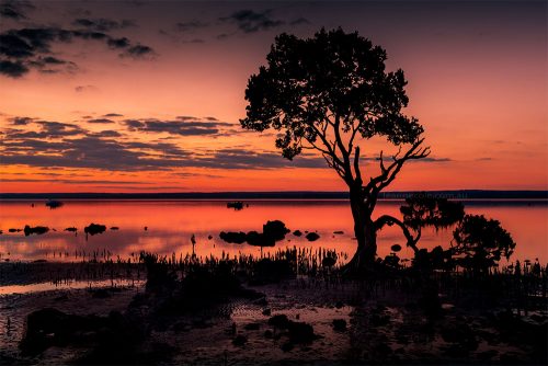 point-tendy-sunset-longexposure-tree