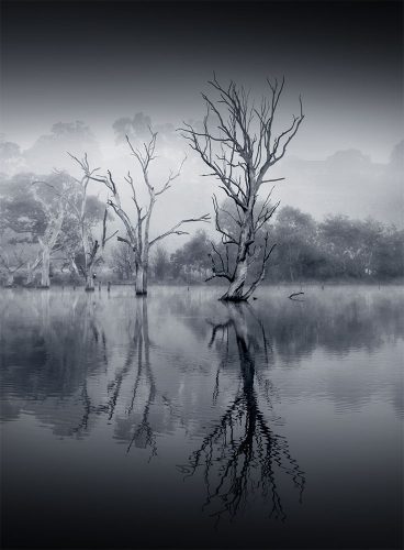 banyuleflats-fog-morning-winter-monochrome