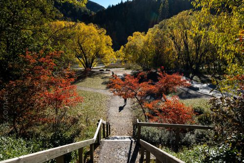 arrowtown-autumn-leaves-historic-newzealand-9720