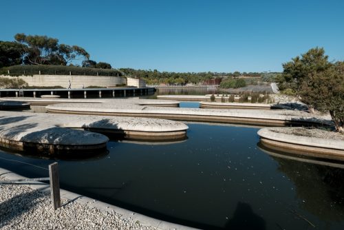 cranbourne-botannical-gardens-fujifilm-melbourne-9063