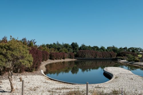 cranbourne-botannical-gardens-fujifilm-melbourne-9064