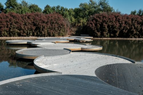 cranbourne-botannical-gardens-fujifilm-melbourne-9066