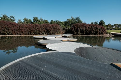 cranbourne-botannical-gardens-fujifilm-melbourne-9067