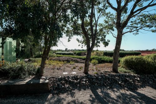 cranbourne-botannical-gardens-fujifilm-melbourne-9068