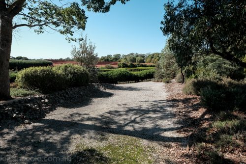 cranbourne-botannical-gardens-fujifilm-melbourne-9069