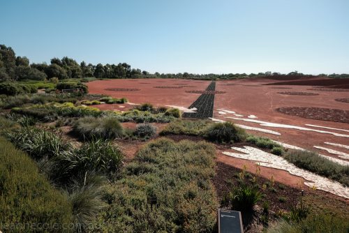 cranbourne-botannical-gardens-fujifilm-melbourne-9070