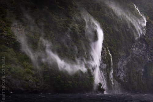 doubtfulsound-boatcruise-fiordland-newzealand-0781