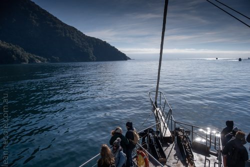 milford sound-boatcruise-fiordland-newzealand-0245