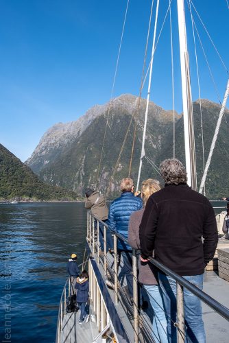 milford sound-boatcruise-fiordland-newzealand-0268