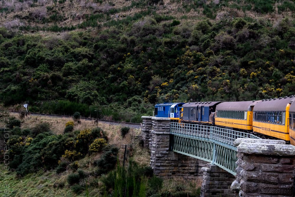 train-taieri-gorge-dunedin-newzealand-1743