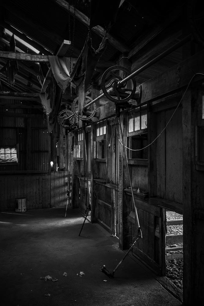 Monochrome Wednesday - An old shearing Shed