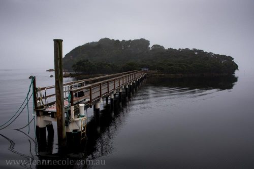 Silent Sunday - Boat cruise on the Gordon River