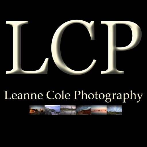 New year, new beginnings – LEANNE COLE Photography Avatar