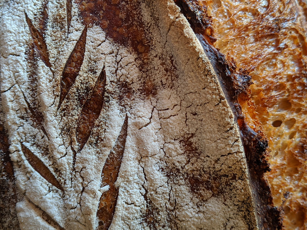 I promised you a post on sourdough and what I have learned from making it a long time ago, but I have finally put it together for you.