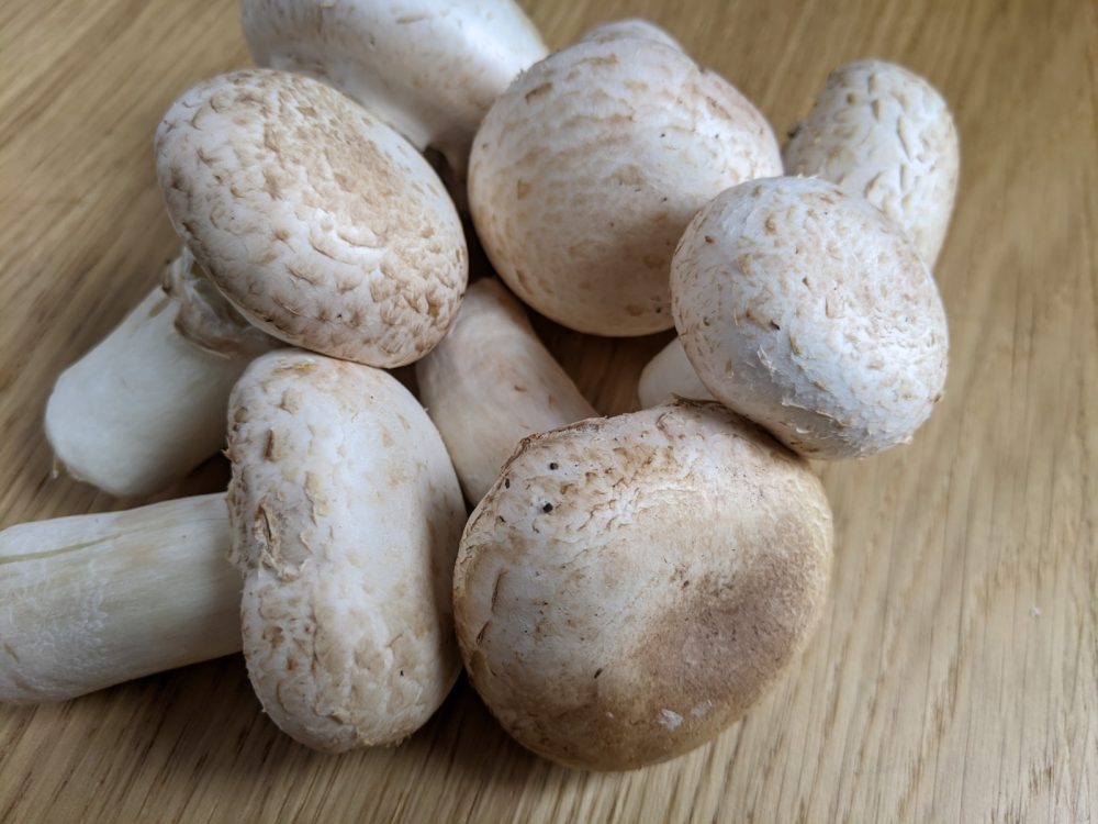 Is it worth growing your own mushrooms