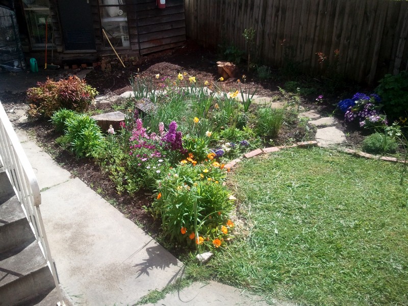 Looking back to when I had a nice garden