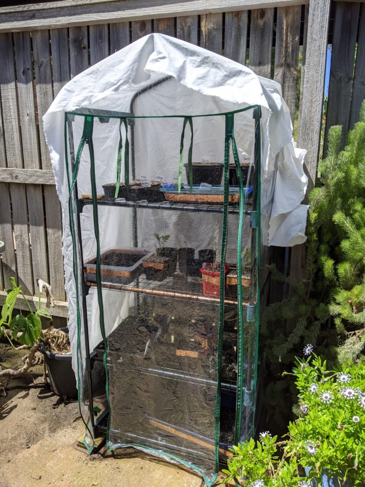 Trying to work out how to use my greenhouse