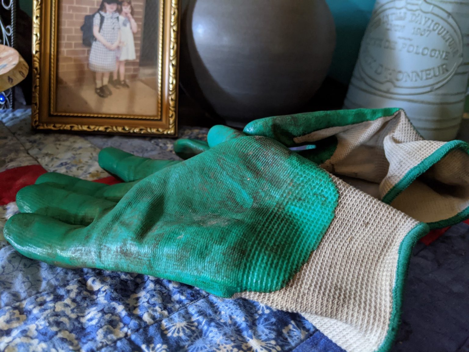 Using my gardening gloves LEANNE COLE